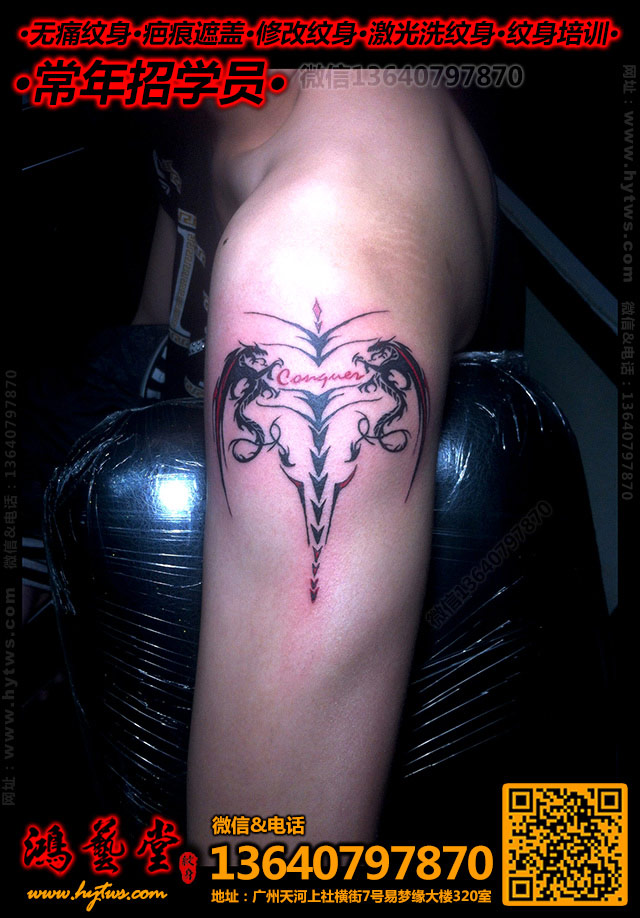 ͼ������|����������ѵ|